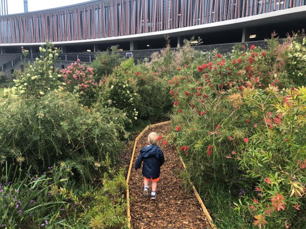 Garden beds and paths to explore image